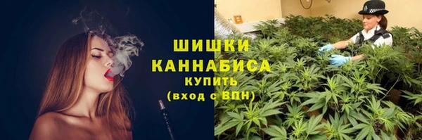 индика Приозерск