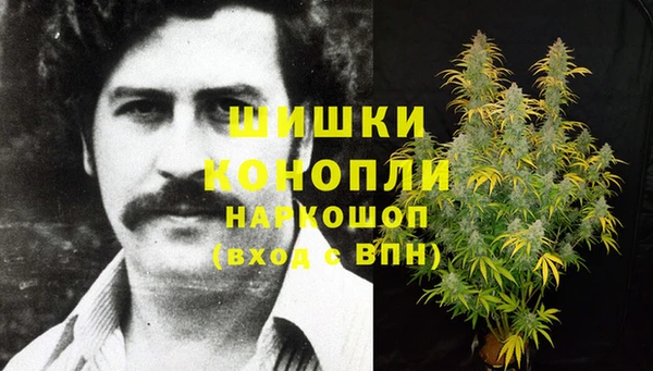 спайс Алзамай