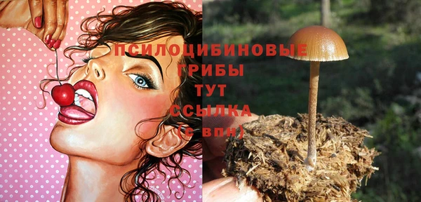 спайс Алзамай