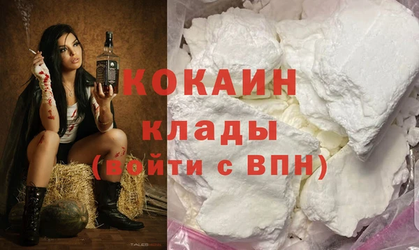 спайс Алзамай